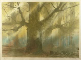 Appraisal: th Century Color Etching Forest Scene th Century Color Etching