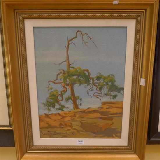 Appraisal: JOHN GARDNER STUNTED NATIVE PINETREE OIL ON BOARD