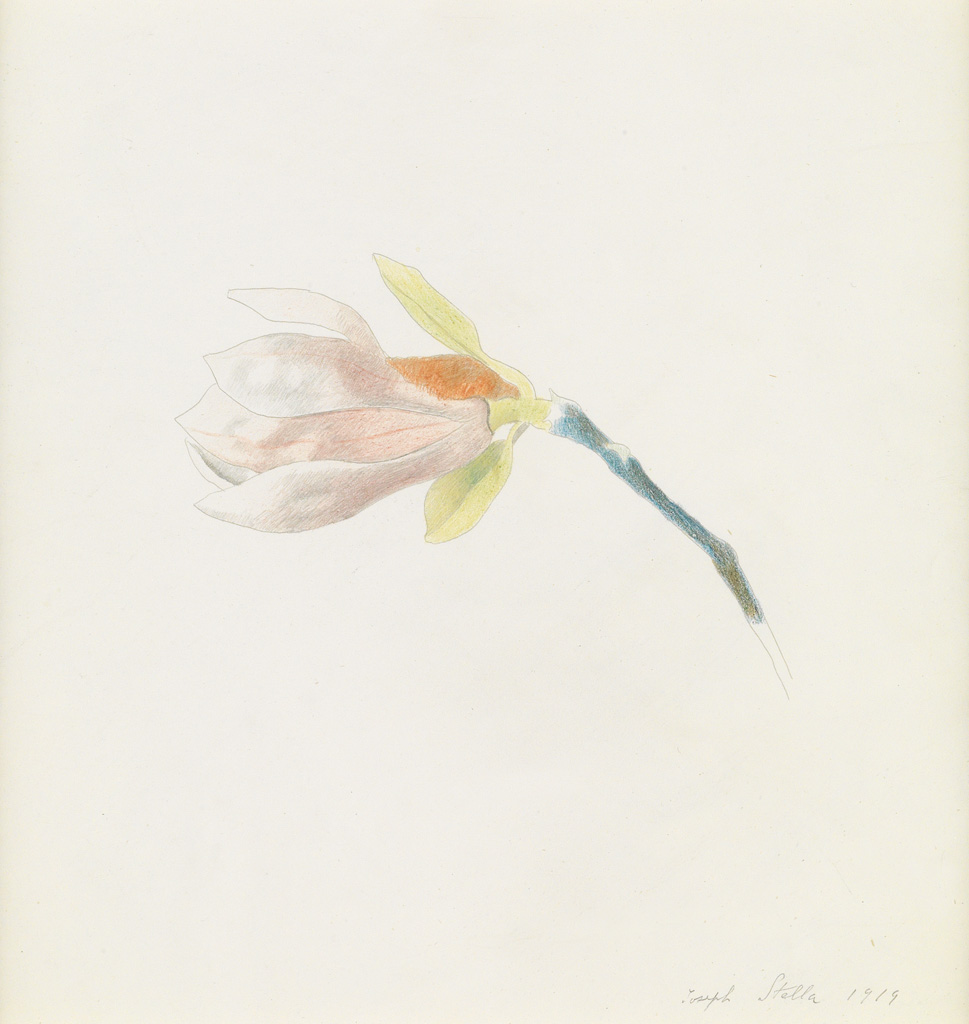 Appraisal: JOSEPH STELLA Pink Magnolia Blossom Color crayons and silverpoint x