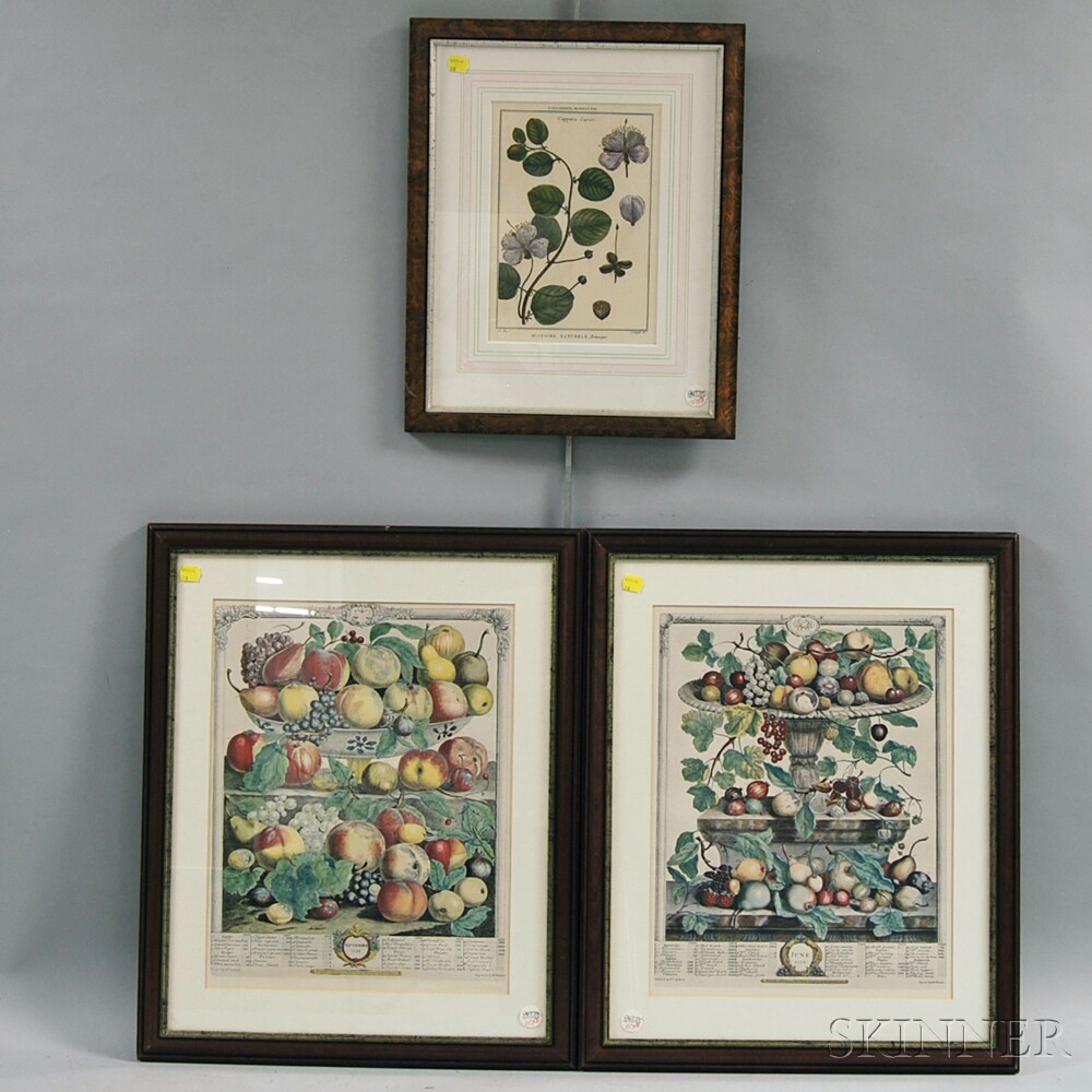 Appraisal: Three Framed Botanical and Fruit Prints one floral print Polyandrie