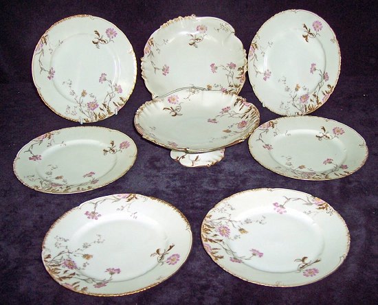 Appraisal: Six Continental floral dessert plates an odd plate six Wedgwood