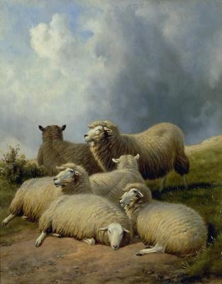 Appraisal: ATTRIBUTED TO THOMAS SIDNEY COOPER Sheep Resting in a Landscape