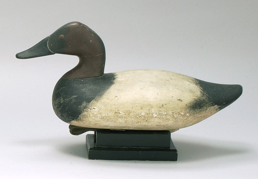 Appraisal: CANVASBACK DRAKE DECOY From the Chesapeake Bay area Repaint and