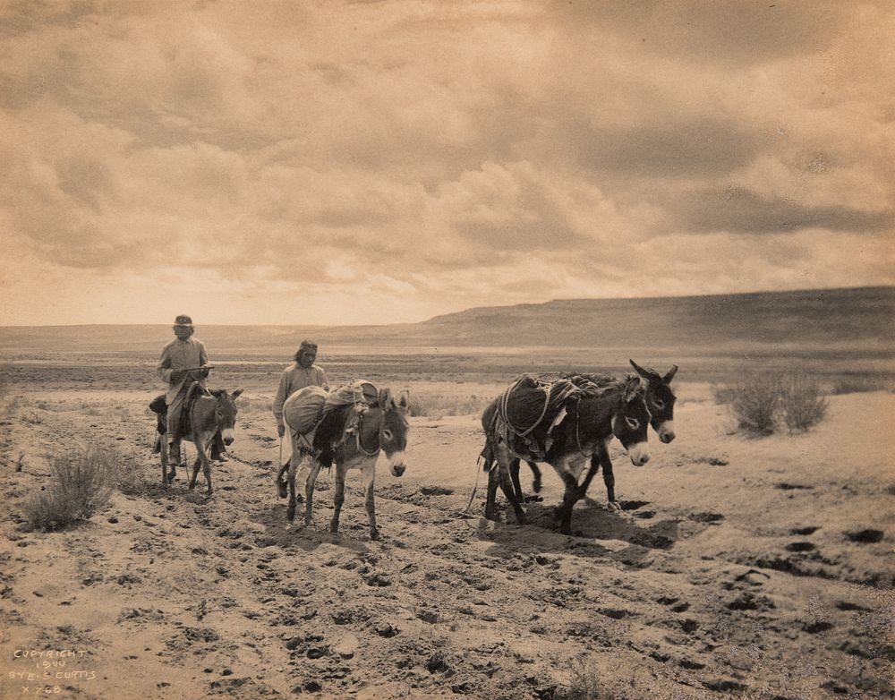 Appraisal: Edward Curtis Untitled Hopi Men with Donkeys and Packs Edward