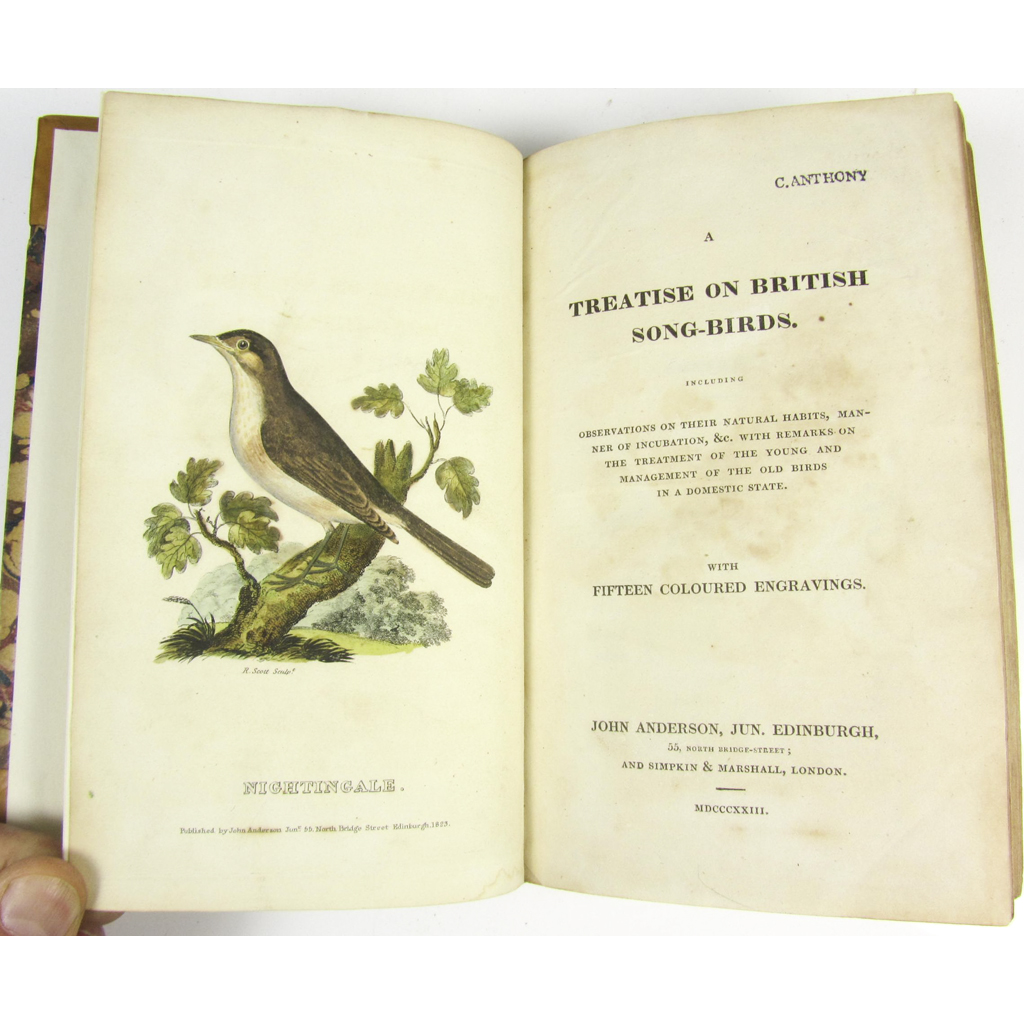 Appraisal: Syme Patrick A Treatise on British Song-Birds Edinburgh J Anderson