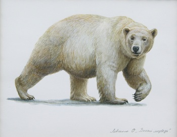 Appraisal: Olga Levchenko Russian b Polar Bear Watercolor on paper image