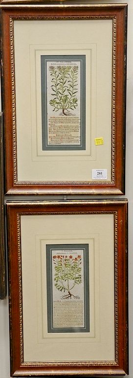 Appraisal: Set of eight Jacobus T Taber th century colored engravings