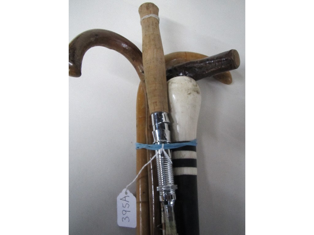 Appraisal: Lot comprising four walking sticks and a fishing rod