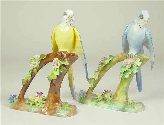 Appraisal: Pair of Staffordshire Parakeets Bone china marked J T Jones