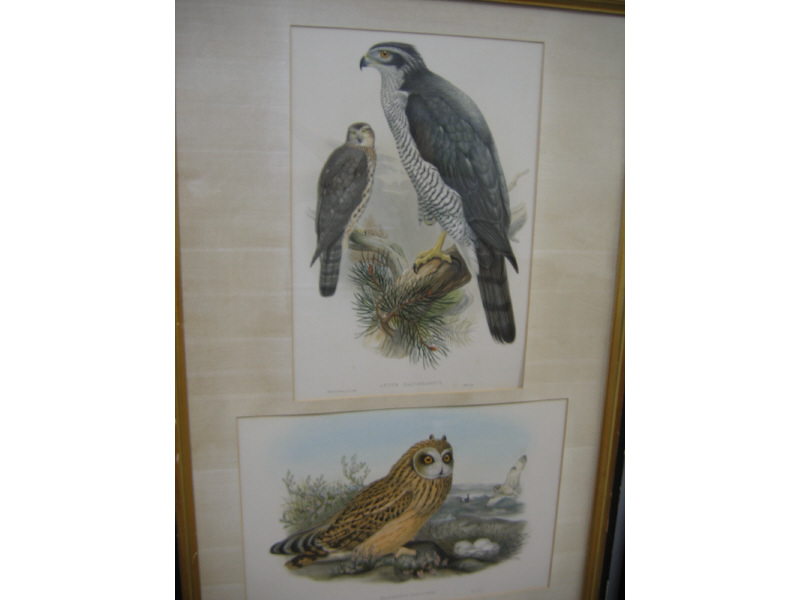 Appraisal: WOLF RICHTER PUBLISHERS Grouping of three color lithographs from Birds