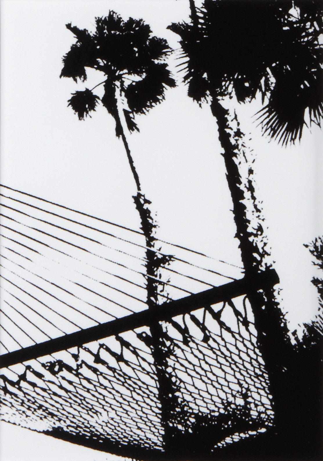 Appraisal: Photographs Gary Dorothy and Eric Waterman Untitled Palm Trees and