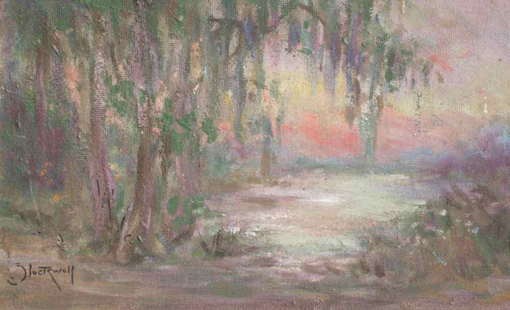 Appraisal: STOCKWELL Catherine American - Florida Swamp Scene With Hanging Moss