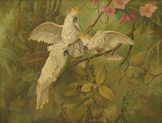 Appraisal: J J PANNECHO th Century Parrots Oil on canvas H