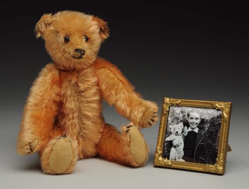 Appraisal: Steiff Apricot Color Teddy Bear With Blank Button Circa Never