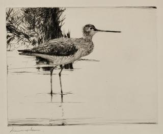 Appraisal: Frank W Benson - Yellowlegs signed Frank W Benson lower