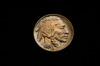 Appraisal: COIN - Buffalo nickel D MS great color and tone