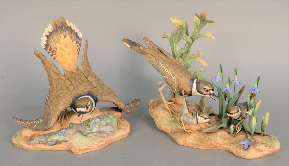 Appraisal: Pair of Boehm Killdeer porcelain sculptures to include female with