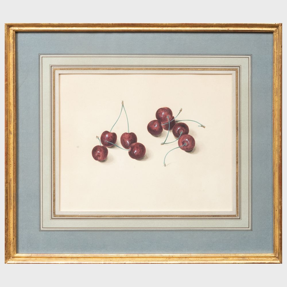 Appraisal: European School Cherries Watercolor on paper unsigned x in sheet