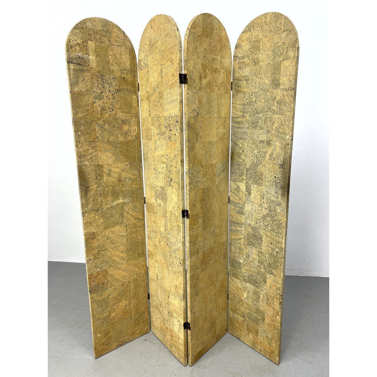 Appraisal: Vintage Cork Panel Folding Screen Room Divider One side floral