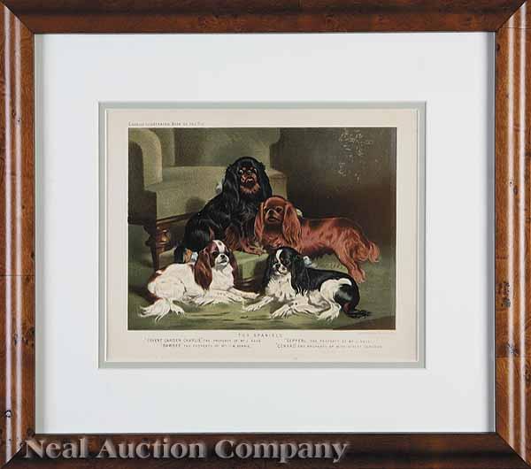 Appraisal: A Group of Six Antique Prints of Dogs after Vero