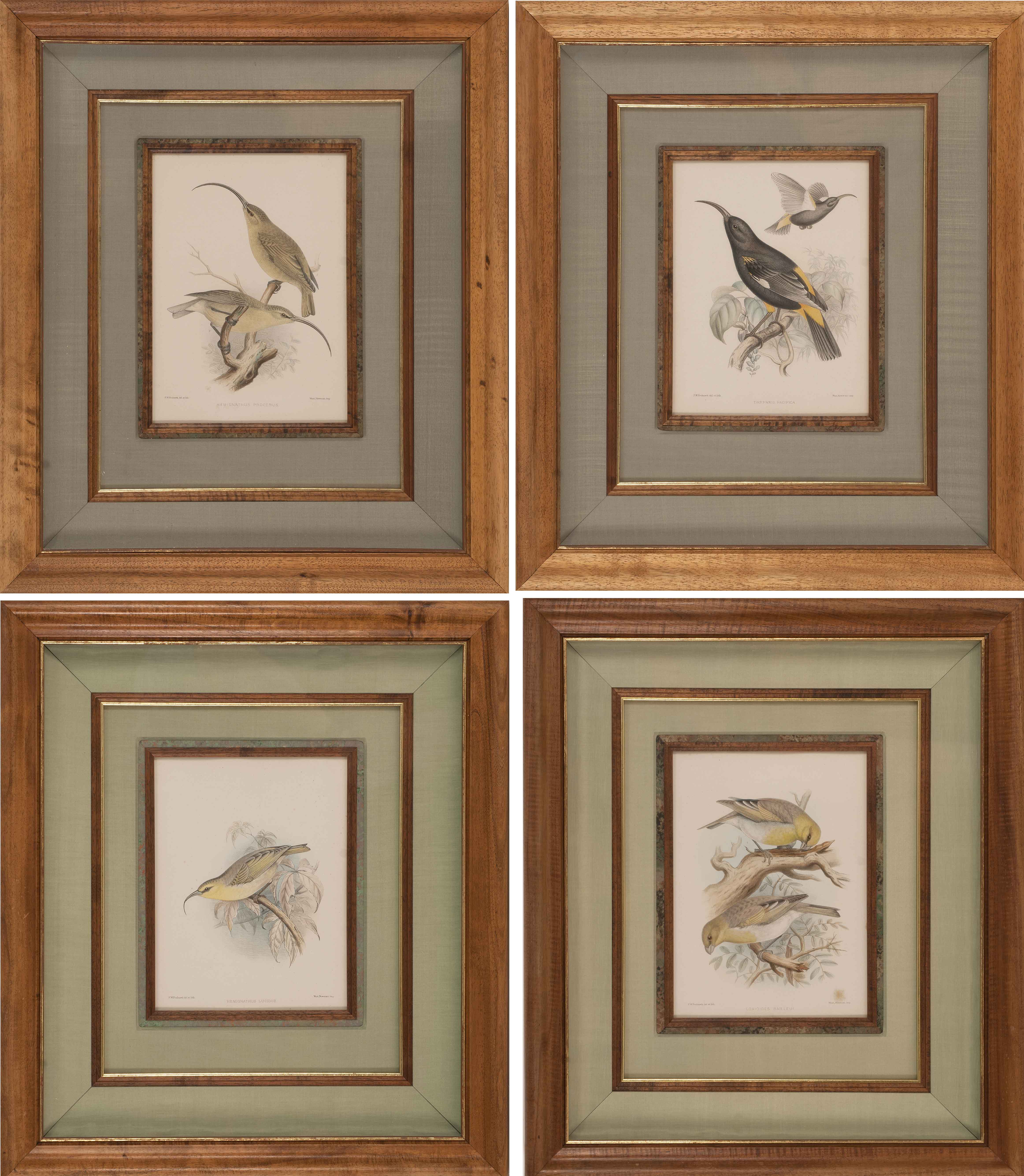 Appraisal: FOUR FRAMED BIRD PRINTS BY H R PORTER Approximately x