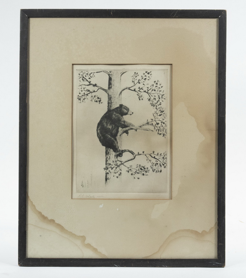 Appraisal: P C WHARTON NY - Treed Bear etching pencil signed