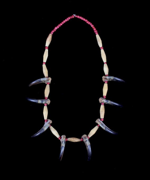 Appraisal: Sioux Bear Claw Beaded Necklace th Century This is an