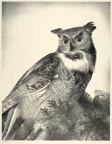 Appraisal: STOW WENGENROTH Three lithographs Great Horned Owl Edition of Inscribed