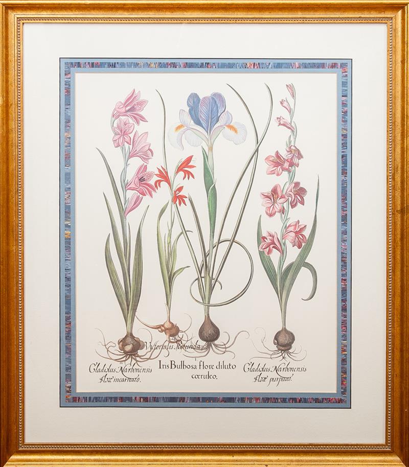 Appraisal: Pair of Botanical Prints Photomechanical reproductions on paper x in