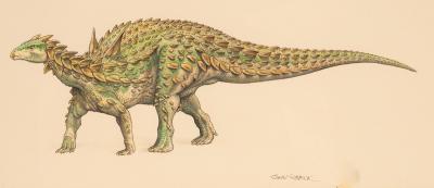 Appraisal: John Sibbick th st Century Scelidosaurus signed gouache pencil and