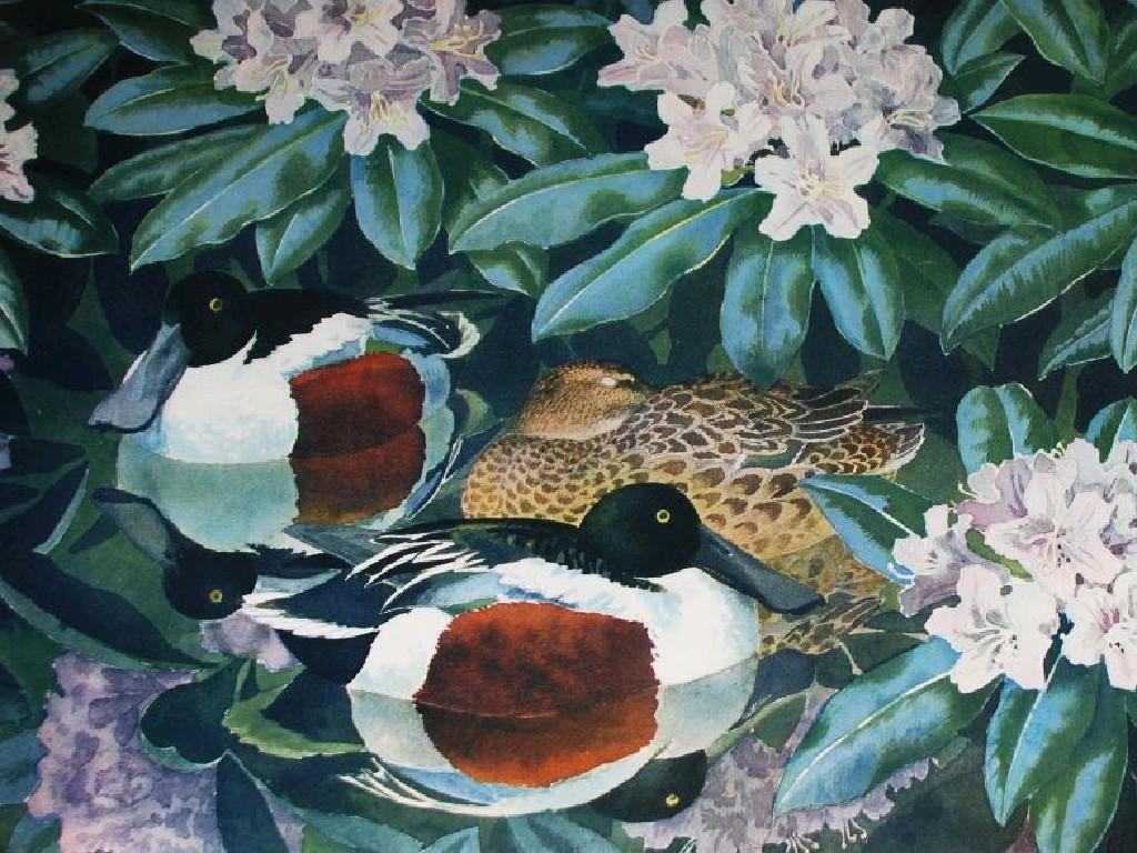 Appraisal: CHARLES FREDERICK TUNNICLIFFE - TWO UNFRAMED SIGNED LIMITED EDITION COLOUR