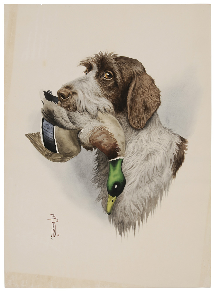 Appraisal: Boris Riab French Russian - Portrait of a Wirehaired Pointing