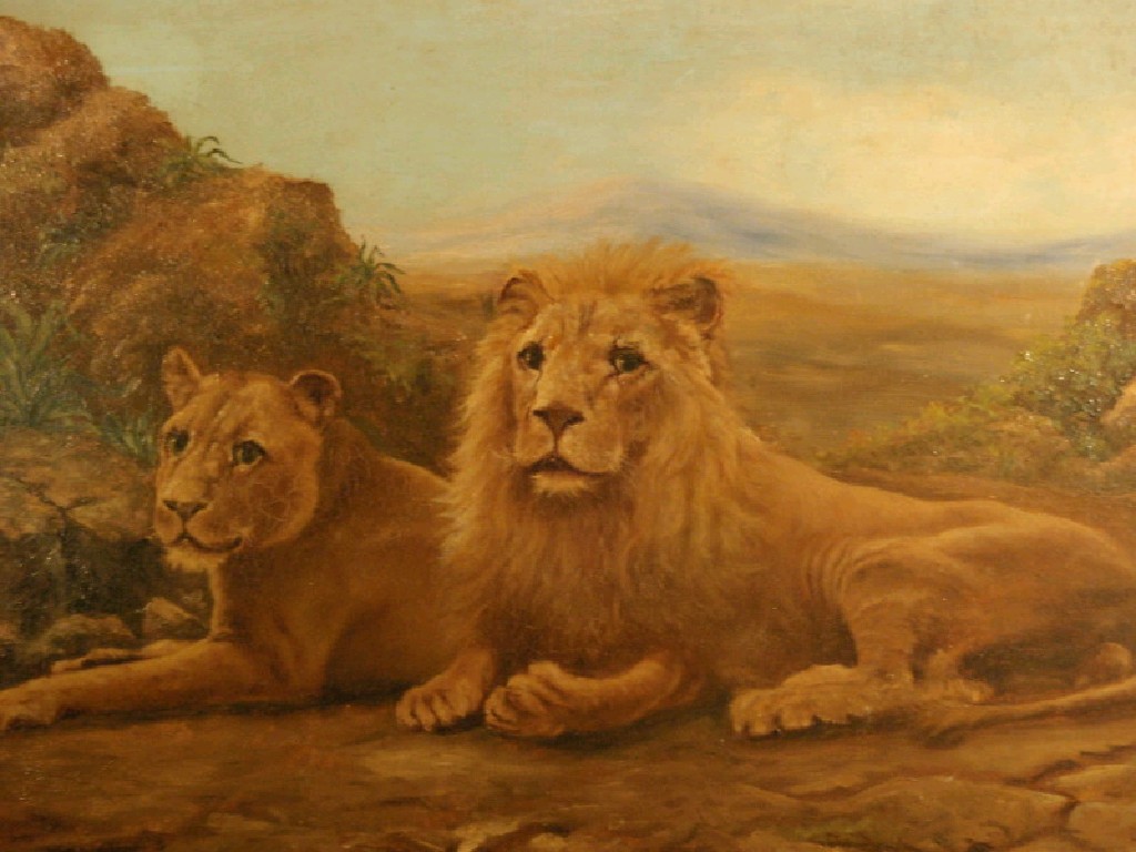 Appraisal: F L Joyce Lion and lioness oil on canvas signed