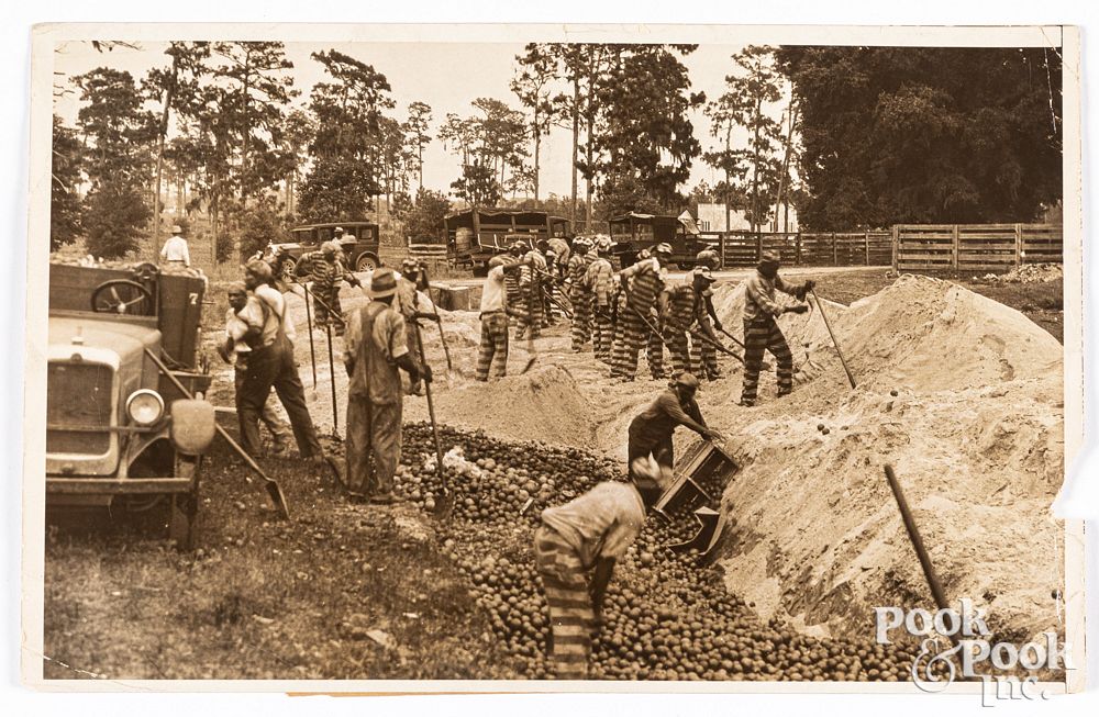 Appraisal: Press photo of prisoners burying fruit Florida Black Americana press