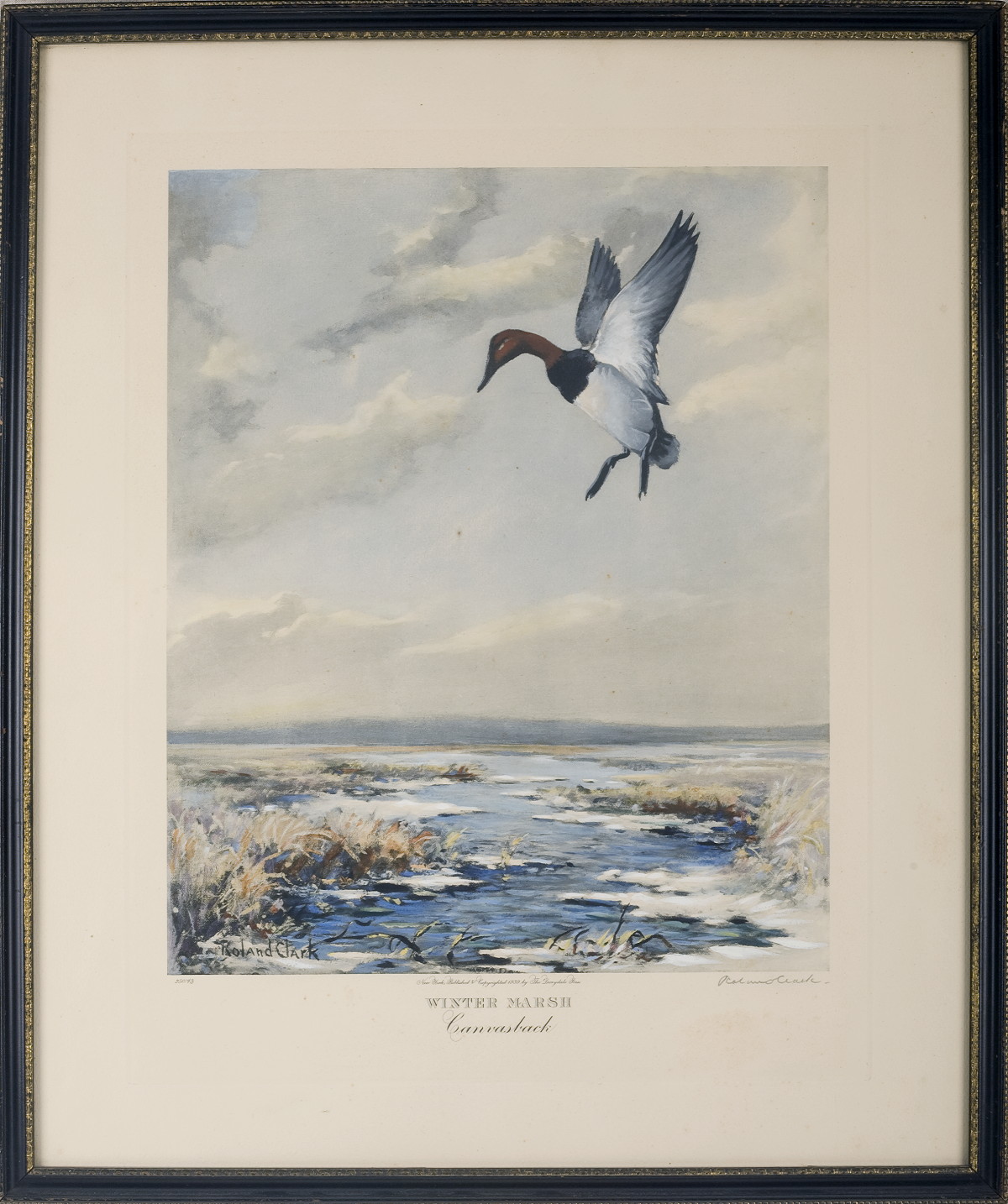 Appraisal: ROLAND H CLARK AMERICAN - quot WINTER MARSH-CANVASBACK quot AND