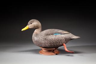 Appraisal: Decorative Black Duck by Roger C Mitchell b Decorative Black