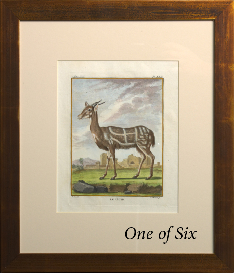 Appraisal: French School Late th Century African Antelope suite of six