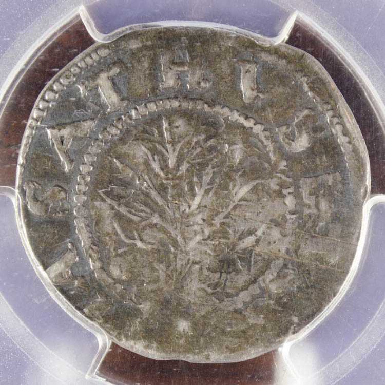 Appraisal: COLONIAL MASSACHUSETTS OAK TREE SHILLING PCGS cased and certified genuine