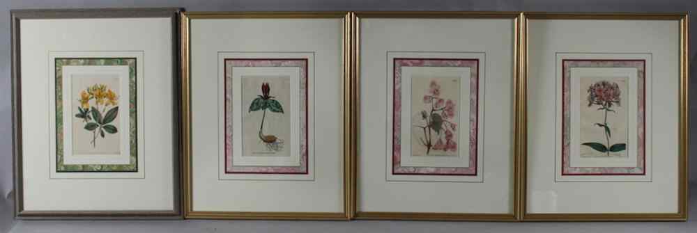 Appraisal: WILLIAM CURTIS BRITISH TH CENTURY FOUR HAND COLOURED PLATES FROM