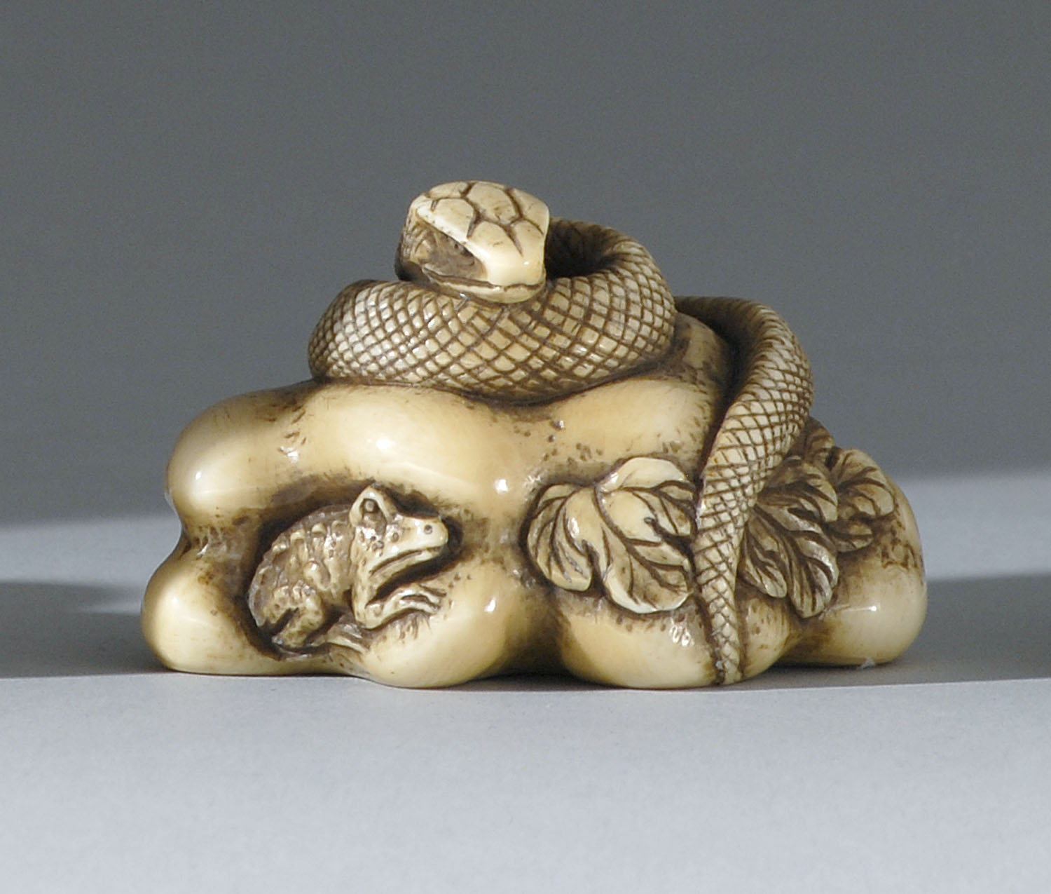 Appraisal: IVORY NETSUKE Early th CenturyIn the form of a snake