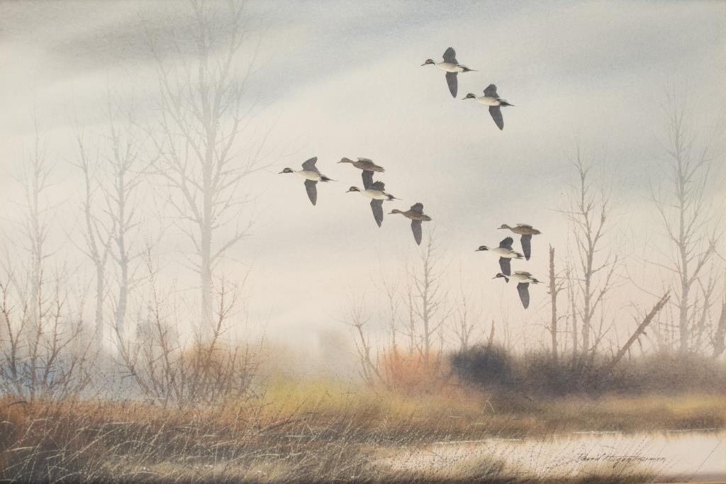 Appraisal: Pintails signed and dated David Hagerbaumer lower right watercolor by