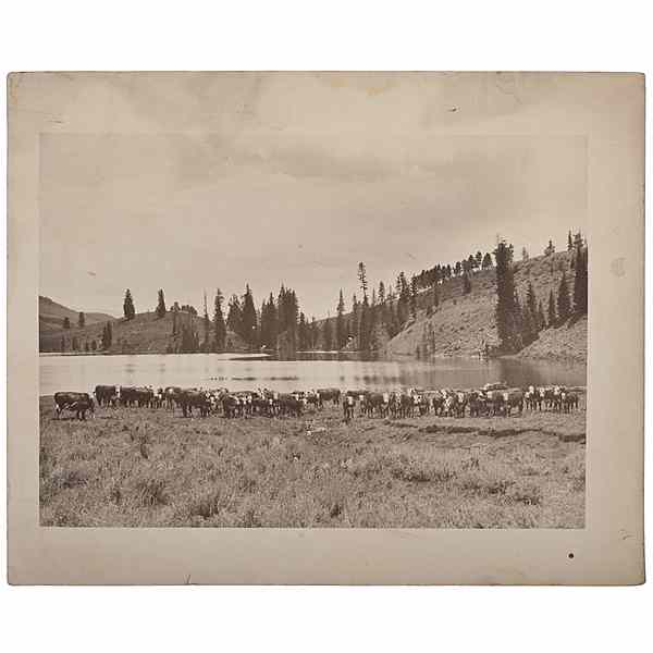 Appraisal: Charles J Belden Photograph of Cattle Gathered at a Lake