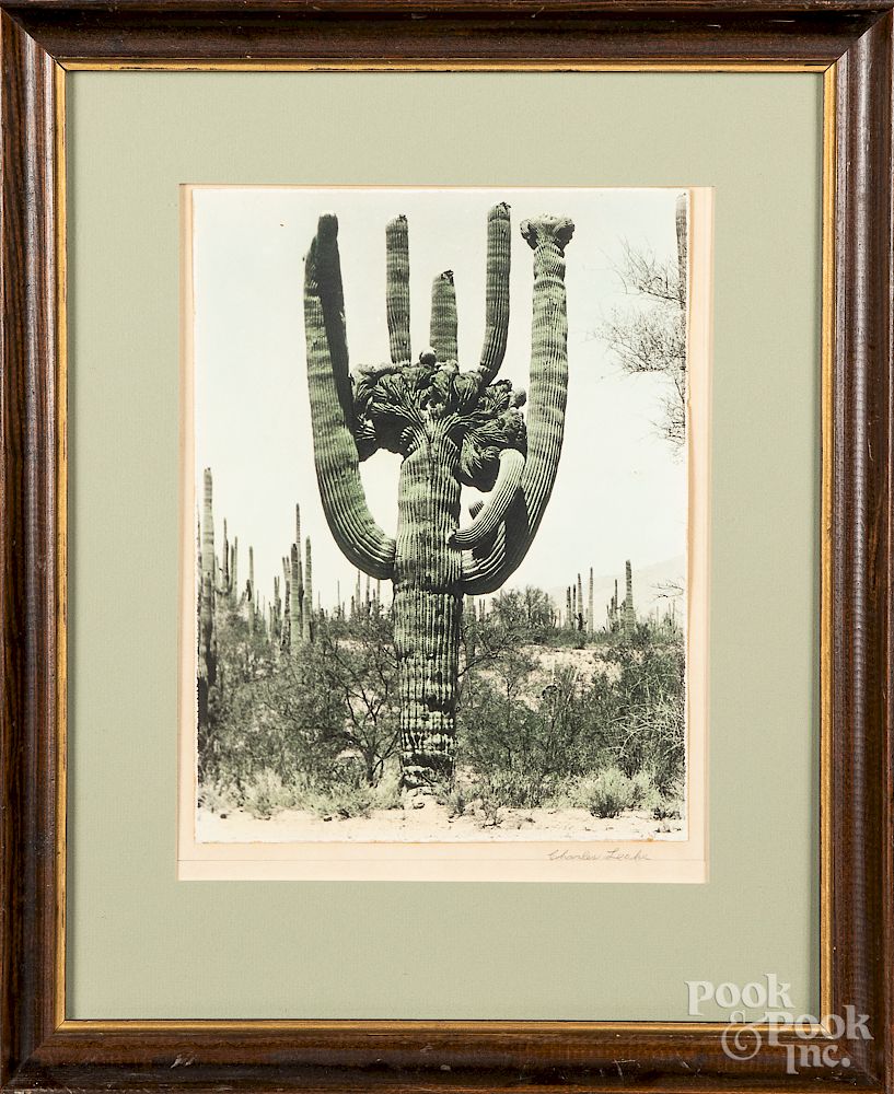 Appraisal: Two Charles Leake southwestern cactus photographs Exclusive on Bidsquare Two