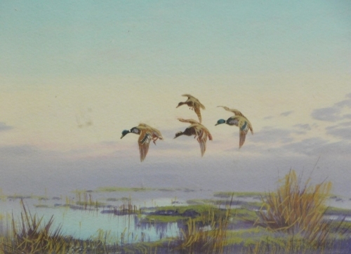 Appraisal: thC School Ducks in flight watercolour gouache unsigned cm x