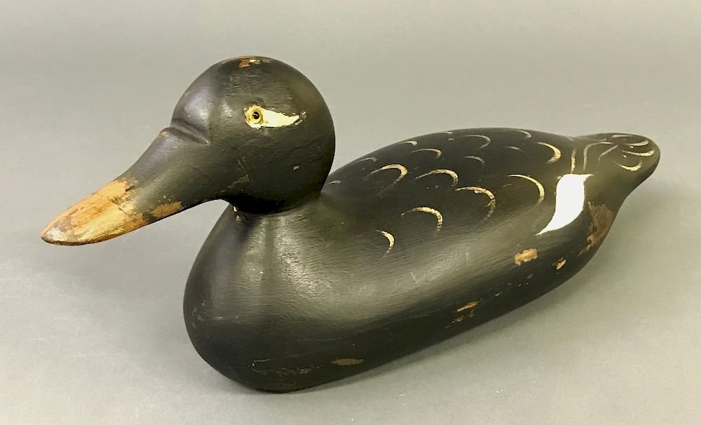 Appraisal: Mason White-Winged Scoter Decoy Mason standard grade white-winged scoter decoy