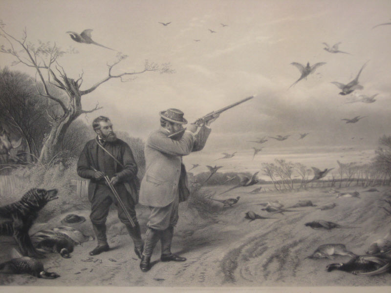 Appraisal: THOMAS OLDHAM BARLOW BRITISH - Engraving after Richard Ansdell PHEASANT