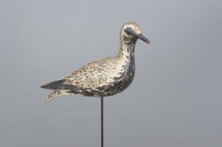 Appraisal: The Turned-Head Dust Jacket Black-Bellied Plover A Elmer Crowell -