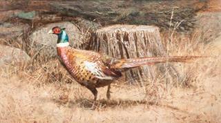 Appraisal: Robert K Abbett b Fast Freddy The Pheasantsigned Abbett lower