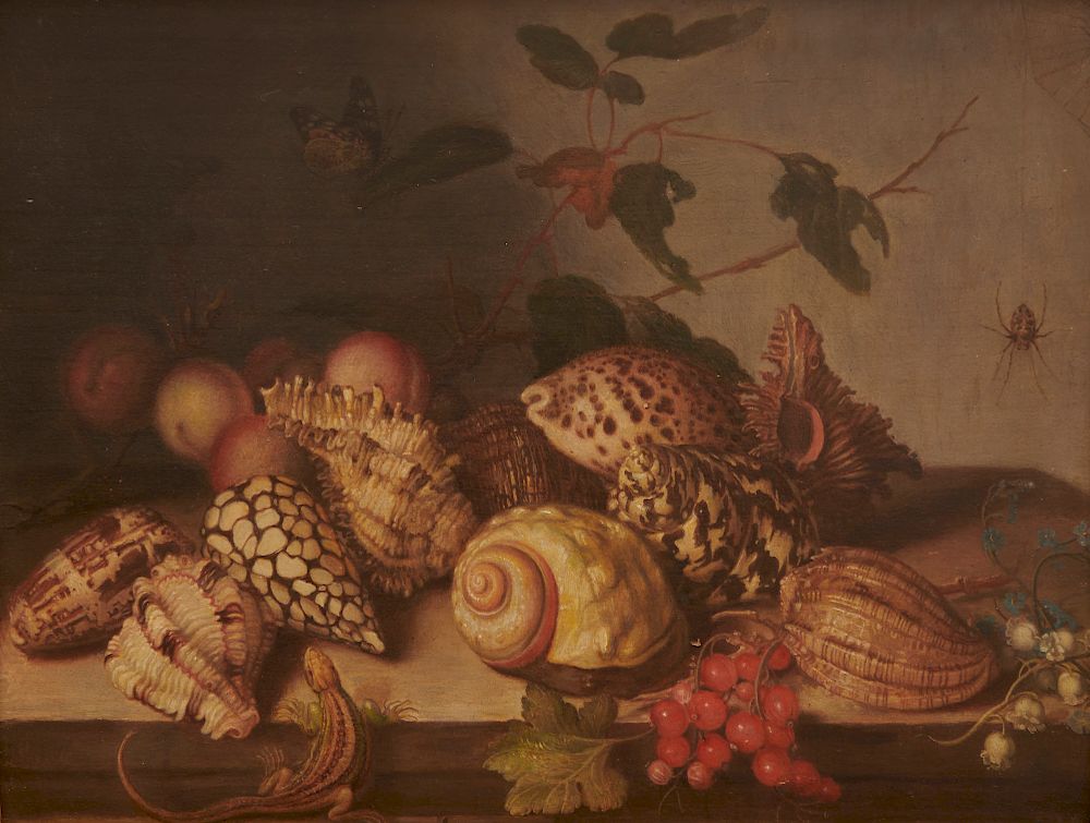 Appraisal: DUTCH SCHOOL th century style Sill Life with Shells Fruit