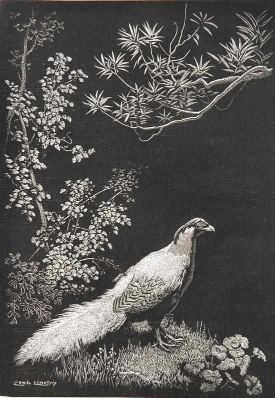 Appraisal: LIONEL LINDSAY - The Silver Pheasant wood engraving ed x